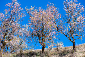 Path through the mountain next to the town of Morella