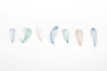 multicolored lightweight feathers isolated on white background