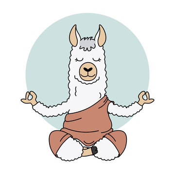 Cute Llama Doing Yoga. Vector Isolated