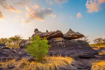 On limestone hills.50