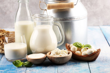 milk products. tasty healthy dairy products on a table. sour cream in a white bowl, cottage cheese bowl, cream in a a bank and milk jar, glass bottle and in a glass