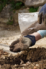 Gardener blending organic fertilizer humic granules with soil, enriching soil.