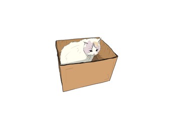 猫