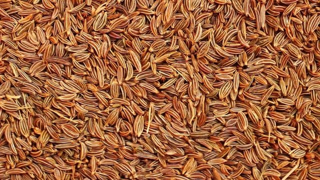 Seeds of cumin close up