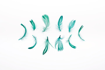 Fototapeta na wymiar rows of green soft feathers isolated on white