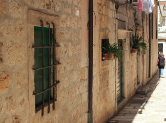Fototapeta na wymiar plants on the walls, bars on window