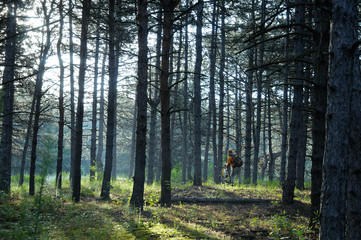 A man with a bicycle in the forest in the early morning