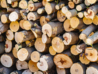 Firewood sawn stack. A pile of chopped wood.