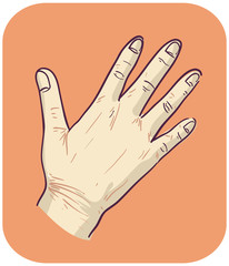 Hand Symptom Fragile Skin Illustration
