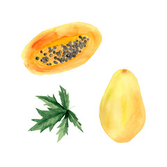  watercolor set with papaya, papaya piece, papaya leaves