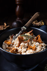 Kaszotto- polish risotto from barley groats with mushrooms