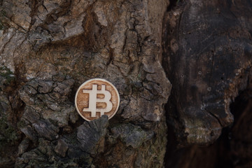 Made from wood custom bit coin in nature