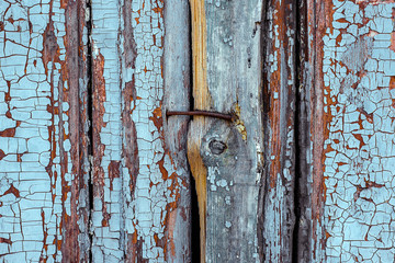Rusty metal nail joined two wood white board with cracked and scratch. Close-up orizontal grunge wood texture