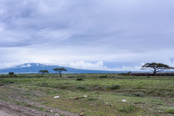 Landscape in Tanzania