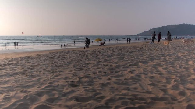 Tourists, international and locals, at the busy and crowded beaches of Calangute & Baga, popular vacation and holiday destination in Goa, a western state in  India