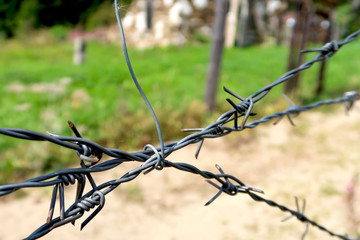 Closeup of barbed wire in former communism iron curtain in Bucina, National Park Sumava in the Czech Republic. Memory of deadly barrier on frontier crossing with Germany.