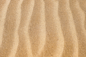 Fototapeta na wymiar Golden sand texture 