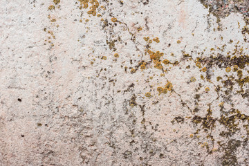 Wall fragment with scratches and cracks
