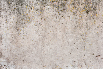 Wall fragment with scratches and cracks