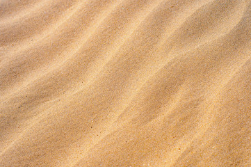 Fototapeta na wymiar Cross lines of the folden sand