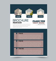 Flyer design template. Brochure layout. School education handout. Annual report cover. Vector illustration.