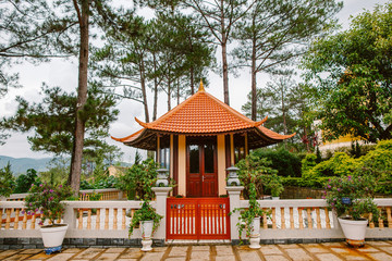 Garden plants in the park Prenn. Vietnam