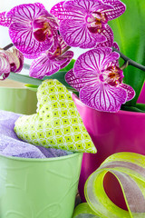 Home style decoration and orchids