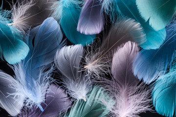 seamless background with light green, purple and blue feathers isolated on black - obrazy, fototapety, plakaty