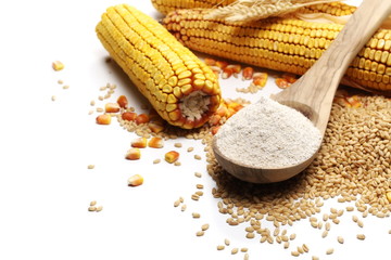 Cob of corn with kernels, dry wheat ears, grains, and integral flour in wooden spoon