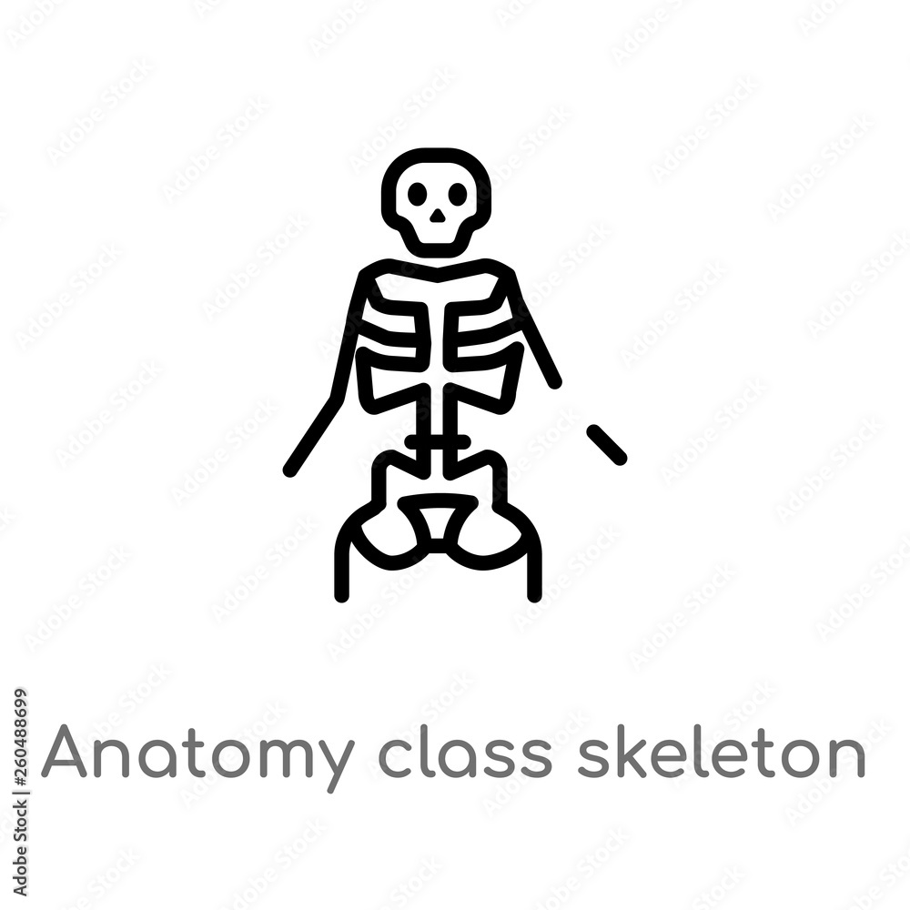 Poster outline anatomy class skeleton vector icon. isolated black simple line element illustration from use