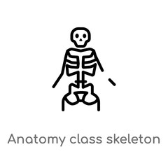 outline anatomy class skeleton vector icon. isolated black simple line element illustration from user interface concept. editable vector stroke anatomy class skeleton icon on white background