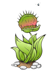 Venus fly trap eat. catches a fly. Isolated white background creative high quality Vector EPS 10 © ZKH studio