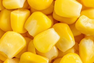 Bright yellow grains of canned corn closeup. The photo is perfect as a background.