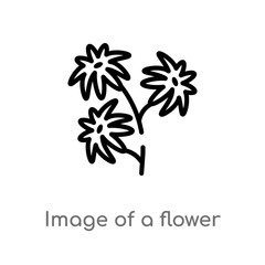 outline image of a flower vector icon. isolated black simple line element illustration from user interface concept. editable vector stroke image of a flower icon on white background