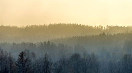 Ascent of the fog from the Harz mountains in the early morning, intentionally blurred