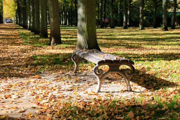 Resting Bench, Park, French Garden, Celle, Lower Saxony, Germany, Europe