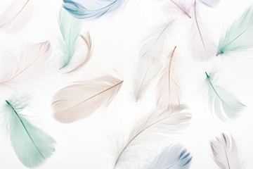 seamless background with soft light beige, green and blue feathers isolated on white