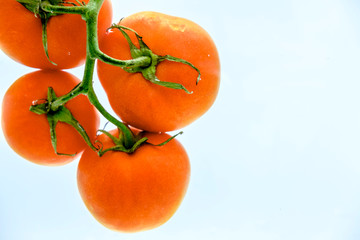 tomatoes on the vine