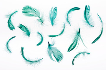 Fototapeta na wymiar seamless background with green lightweight feathers isolated on white