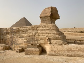 Fototapeta na wymiar Egypt Sphinx