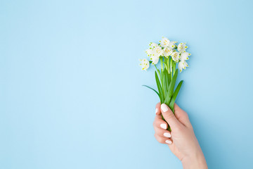 Fresh, beautiful bunch of white snowdrops in woman hand on pastel blue background. First messengers...