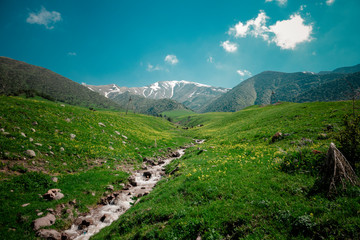 Spring Mountain Landscape