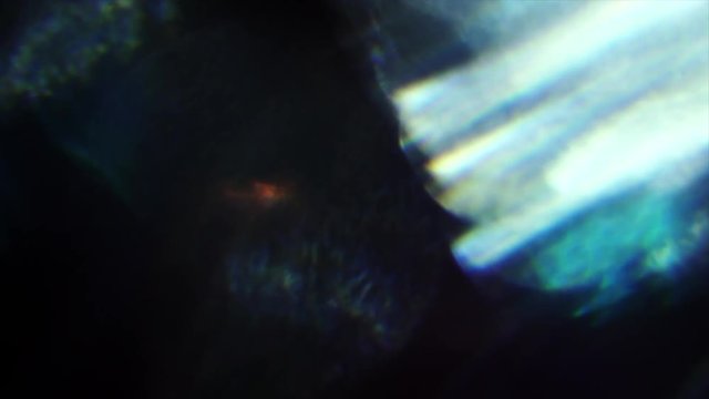 Holographic natural background, polychrome colors bokeh. Distortions, Light leaks, Video transitions, Glares.