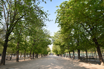 Allée boisée au jardin du Luxembourg à Paris, France