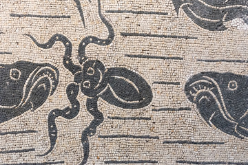 Ancient roman mosaic showing fishes hunting an octopus