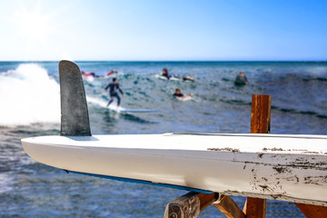 Surfer board of free space for your decoration and summer time 