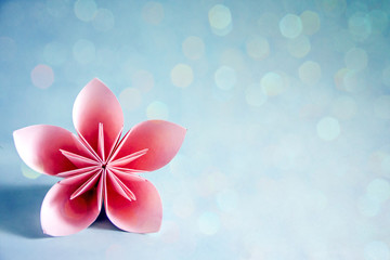 Fototapeta na wymiar Beautiful exotic flower origami on a blue background.Paper flower. Copy space