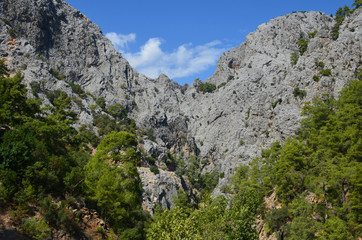 Fototapeta na wymiar Panorama of the mountains, overgrown with trees, against the background of the summer blue sky in Goynuk canyon
