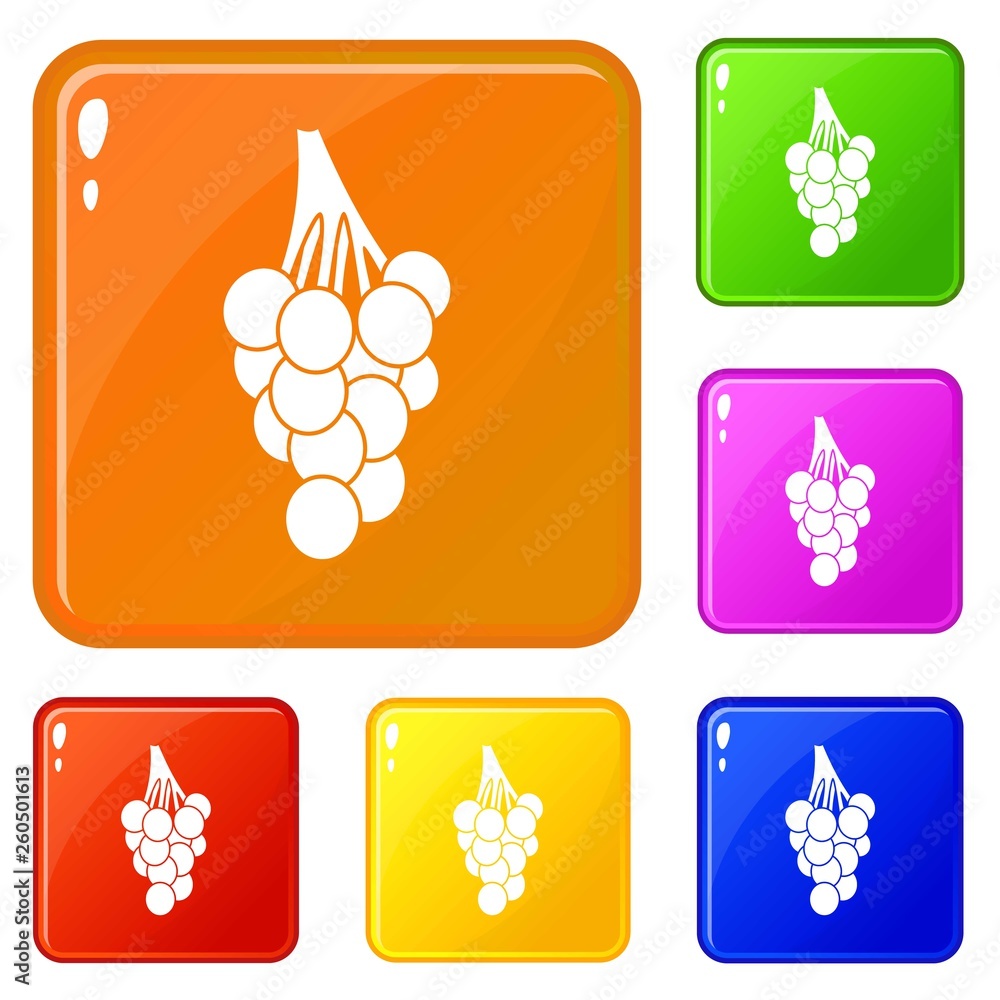 Poster grapes icons set collection vector 6 color isolated on white background