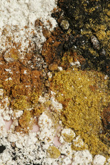 Abstract colorful powder background, close up view of mixed powders, design element